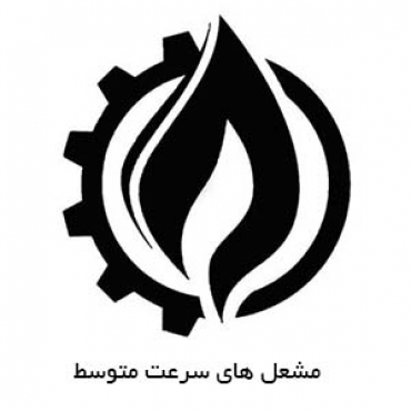 fire-flame-icon-in-a-shape-of-drop-oil-and-gas-industry-logo-design-concept-vector-2